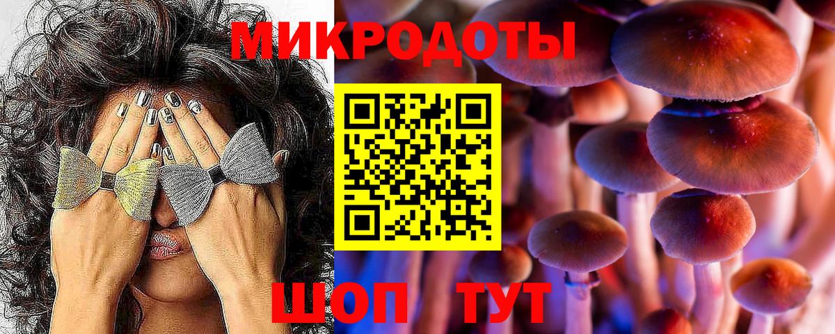 Галлюциногенные грибы MAGIC MUSHROOMS Ярославль