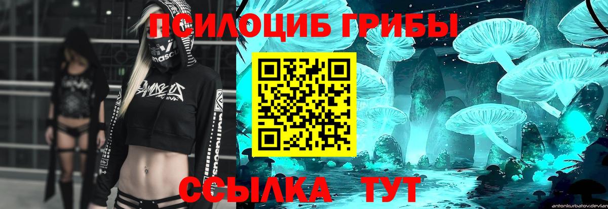 Ярославль  как найти   Вход с VPN  Псилоцибиновые грибы GOLDEN TEACHER  Галлюциногенные грибы Psilocybe 